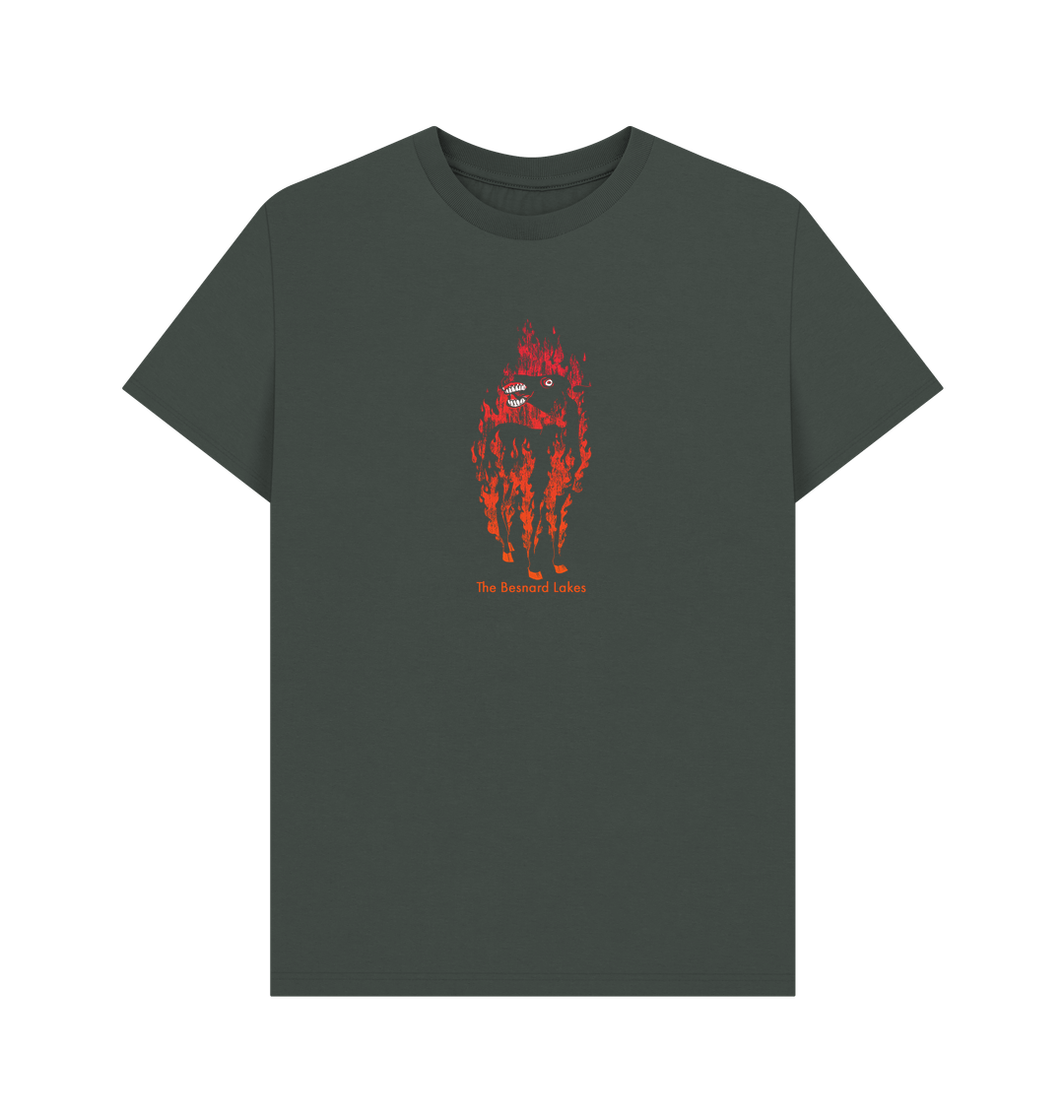 Dark Grey Printed T-shirt Front