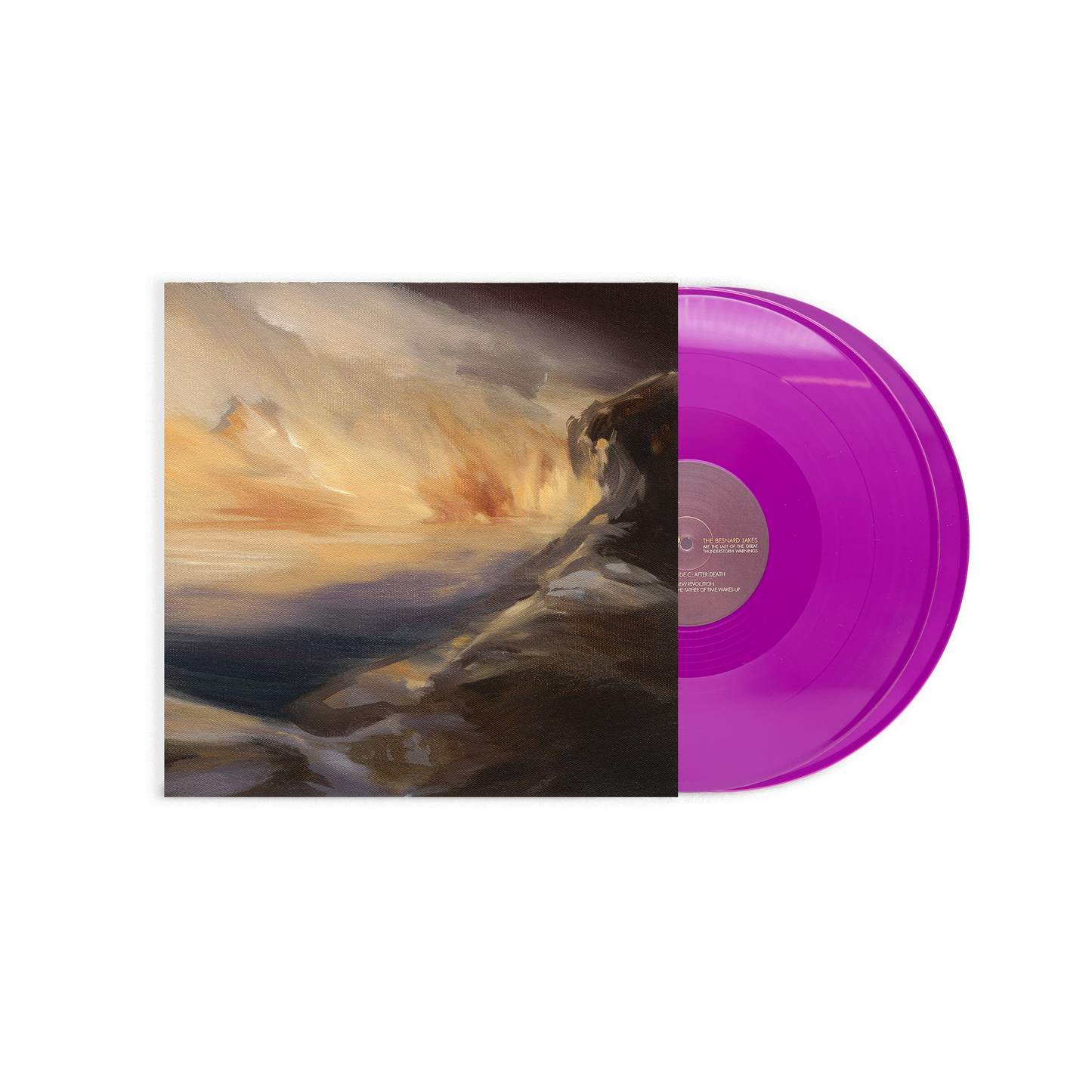 Besnard Lakes LP Bundle