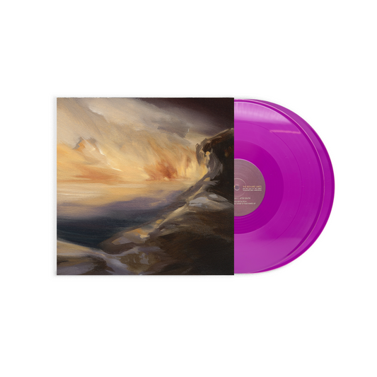 Besnard Lakes LP Bundle
