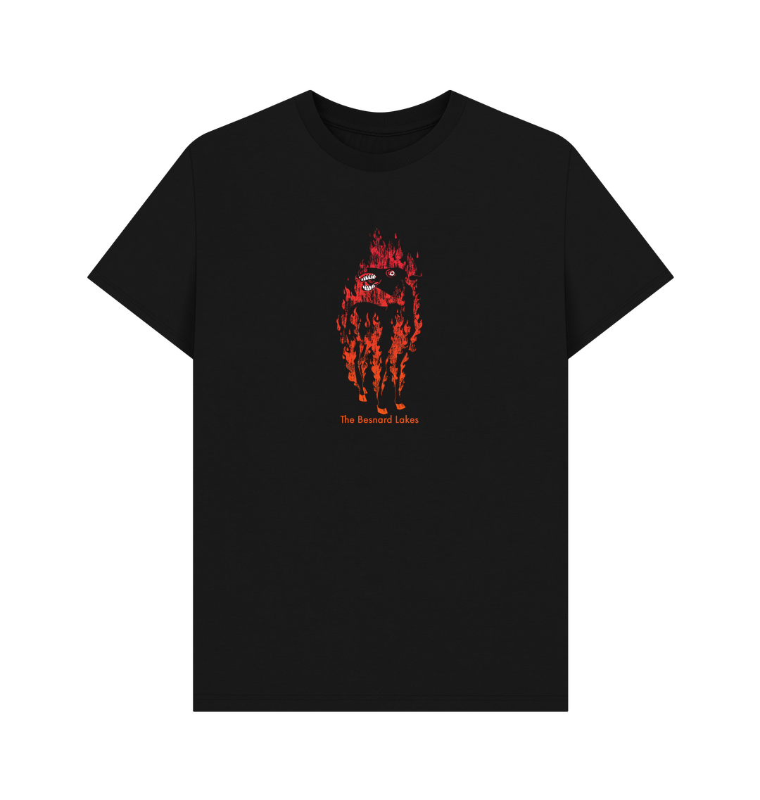 The Besnard Lakes Are The Ghost Nation D2C Vinyl + T shirt Bundle